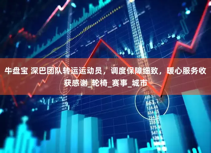 牛盘宝 深巴团队转运运动员，调度保障细致，暖心服务收获感谢_轮椅_赛事_城市