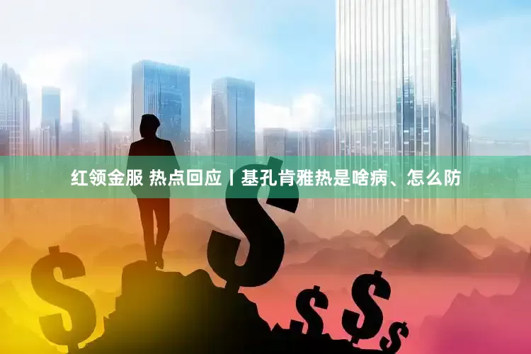 红领金服 热点回应丨基孔肯雅热是啥病、怎么防