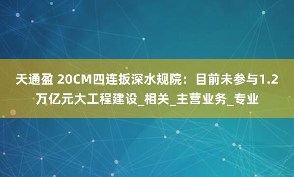 天通盈 20CM四连扳深水规院：目前未参与1.2万亿元大工程建设_相关_主营业务_专业