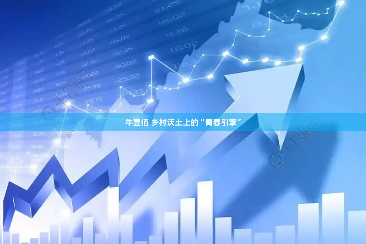 牛壹佰 乡村沃土上的“青春引擎”