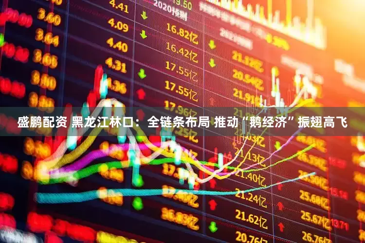 盛鹏配资 黑龙江林口：全链条布局 推动“鹅经济”振翅高飞