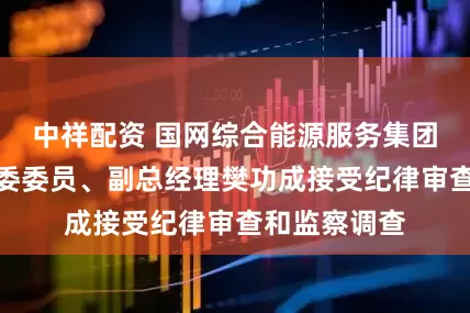 中祥配资 国网综合能源服务集团有限公司党委委员、副总经理樊功成接受纪律审查和监察调查