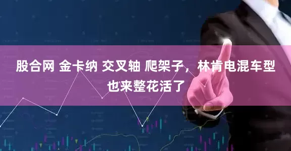 股合网 金卡纳 交叉轴 爬架子，林肯电混车型也来整花活了