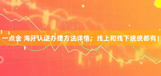 一点金 海牙认证办理方法详情：线上和线下统统都有！